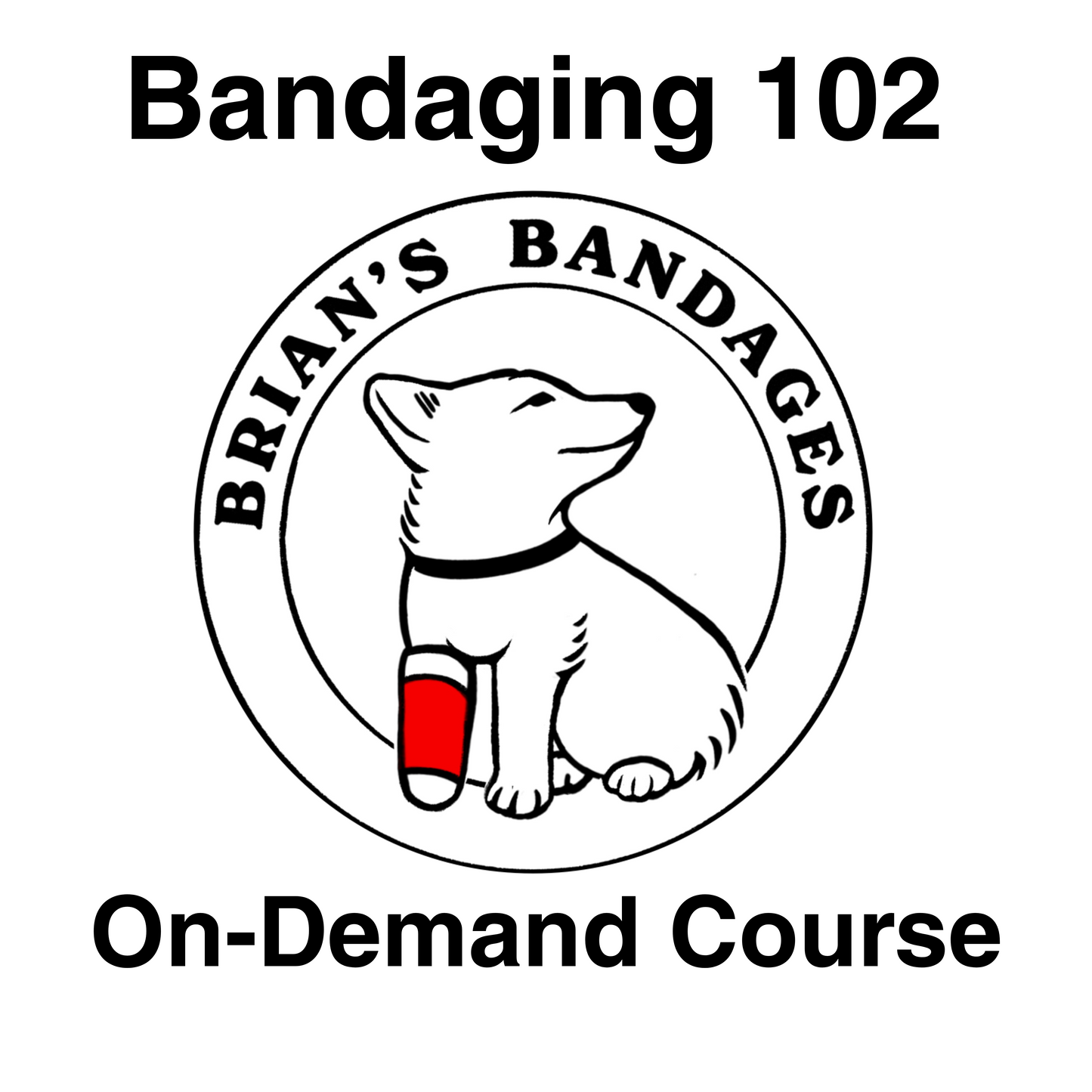 Bandaging 102 On-Demand