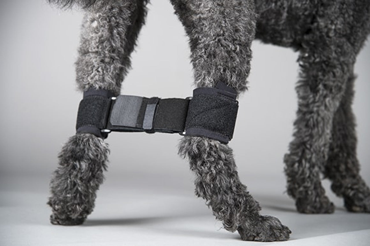 Rear Leg Hobble System