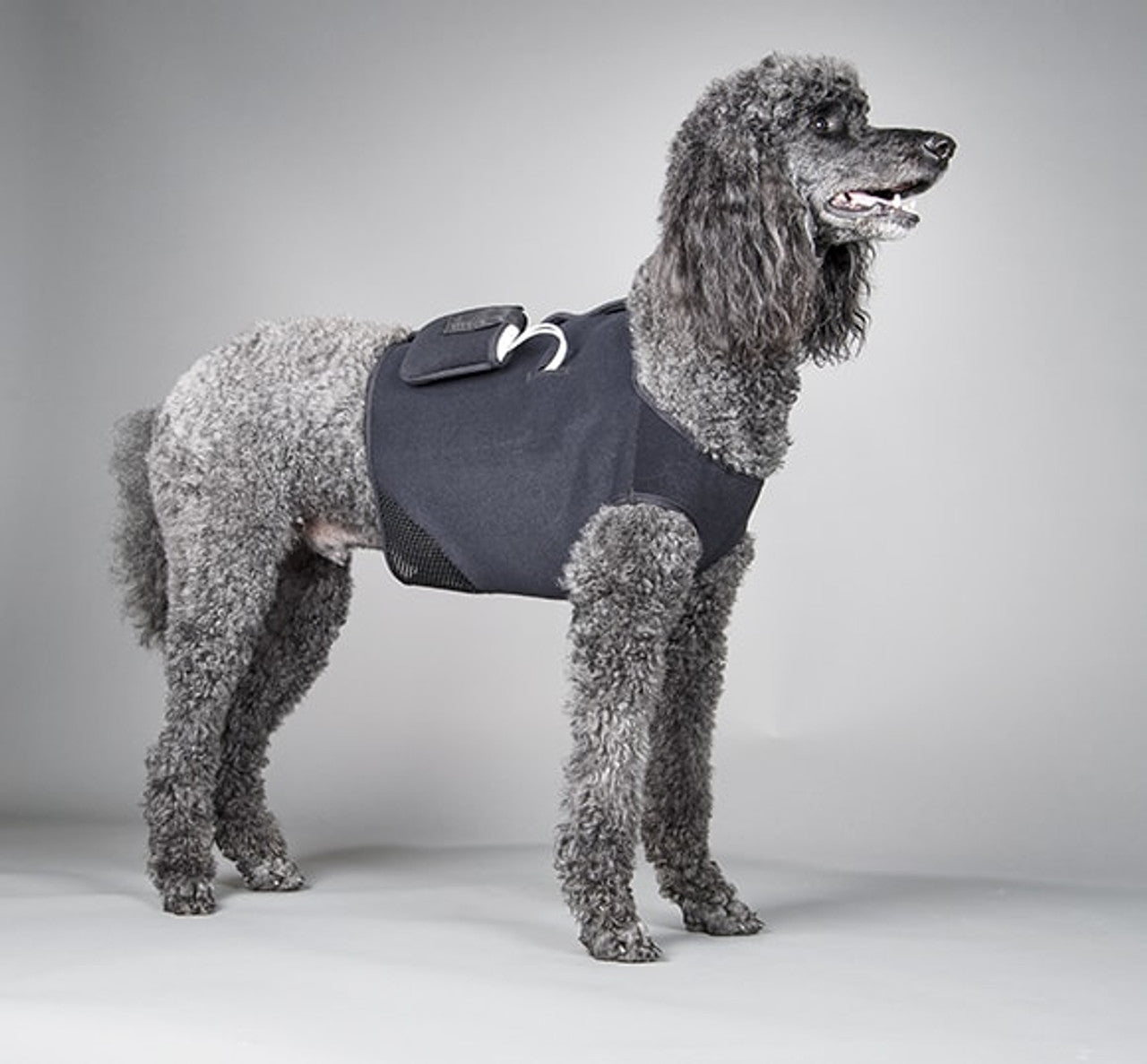 Remote Monitoring Device Vest