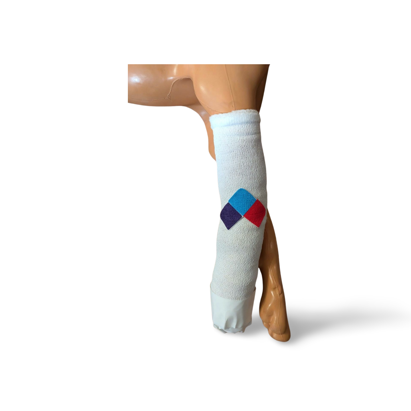 Veterinary Centers of America