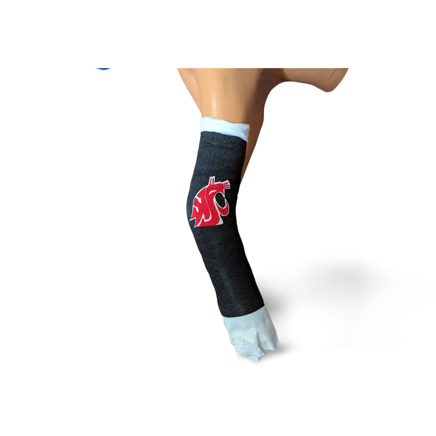 Washington State University