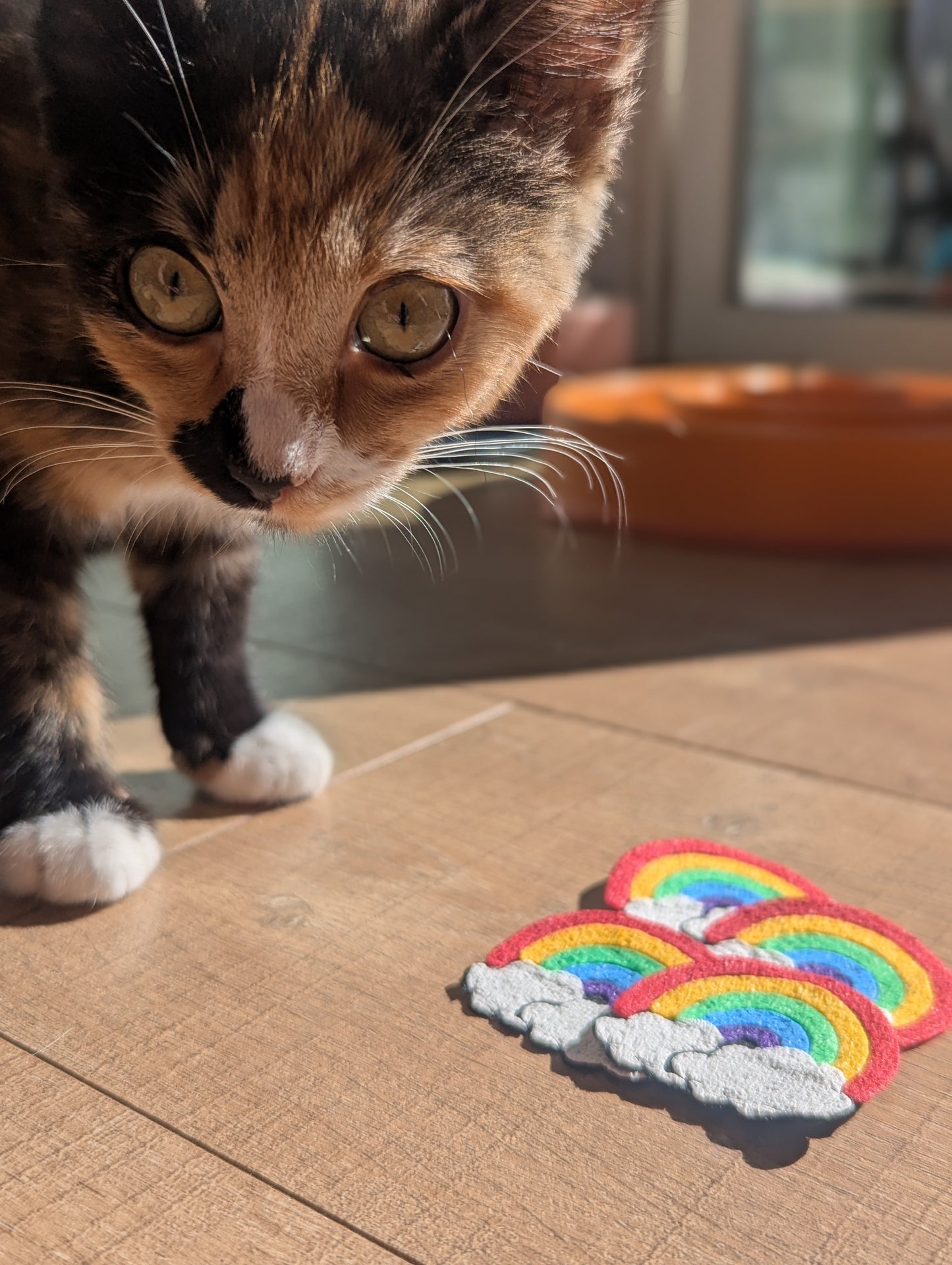 Rainbow