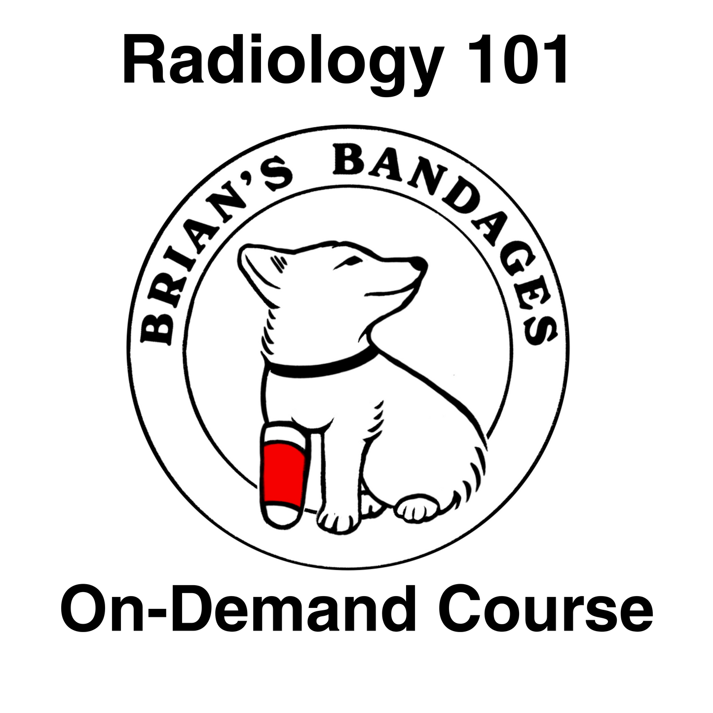 Radiology 101 On-Demand