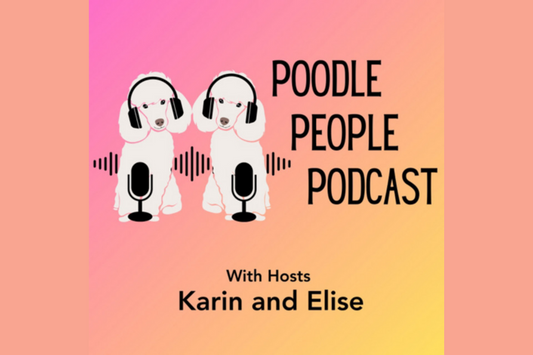 Ep 30 Brian Goleman, CVT, Brian's Bandages