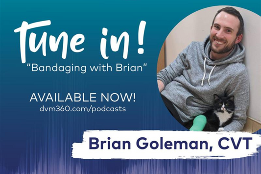 Bandaging with Brian