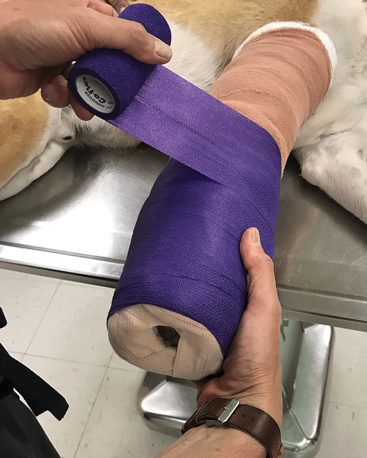 jones cotton dressing DeRoyal Jones Compression Dressing