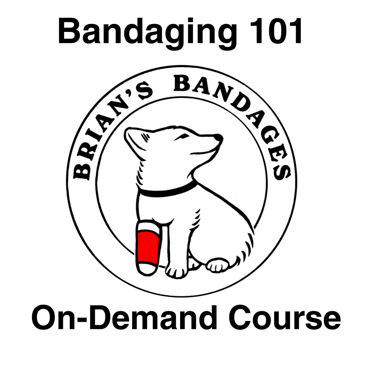 Bandaging 101 on-demand veterinary course