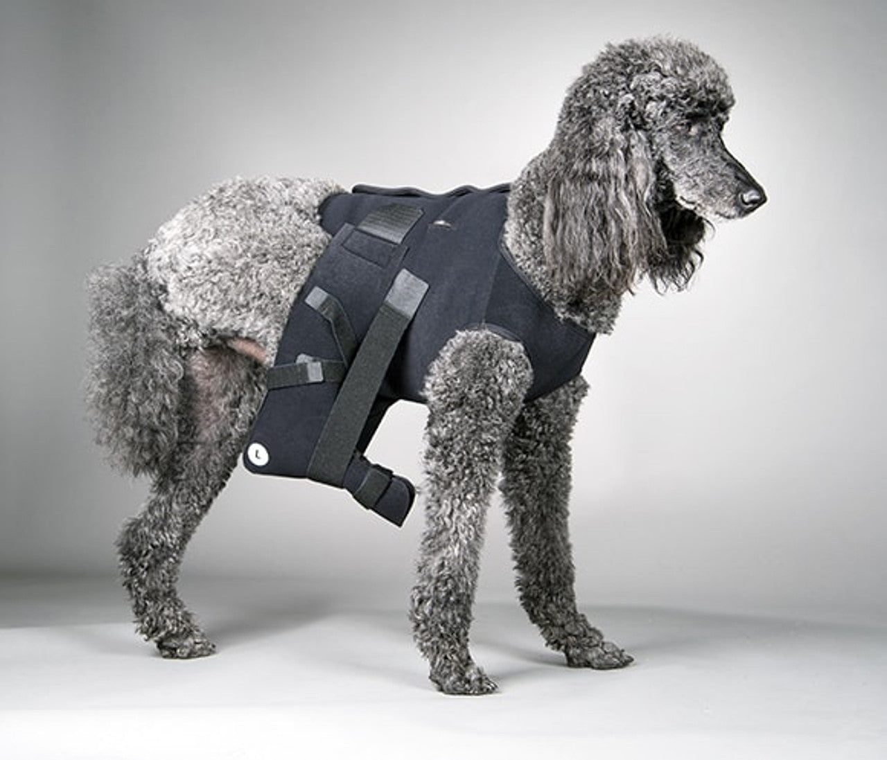 Ehmer Sling with Vest