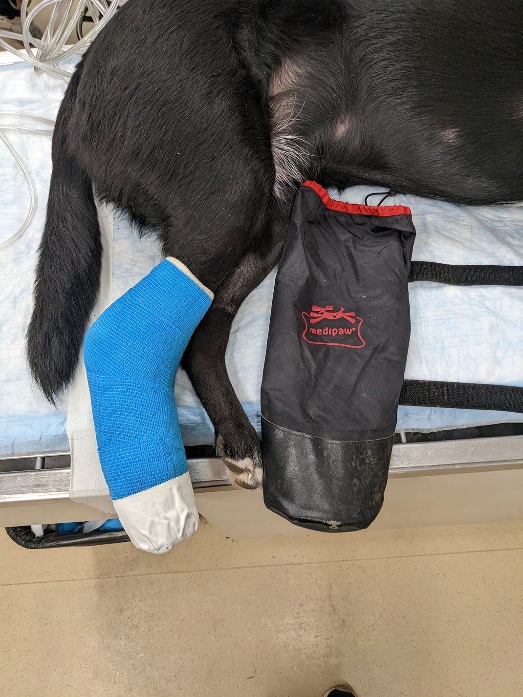 Modified Robert-Jones Bandage – Brian's Bandages