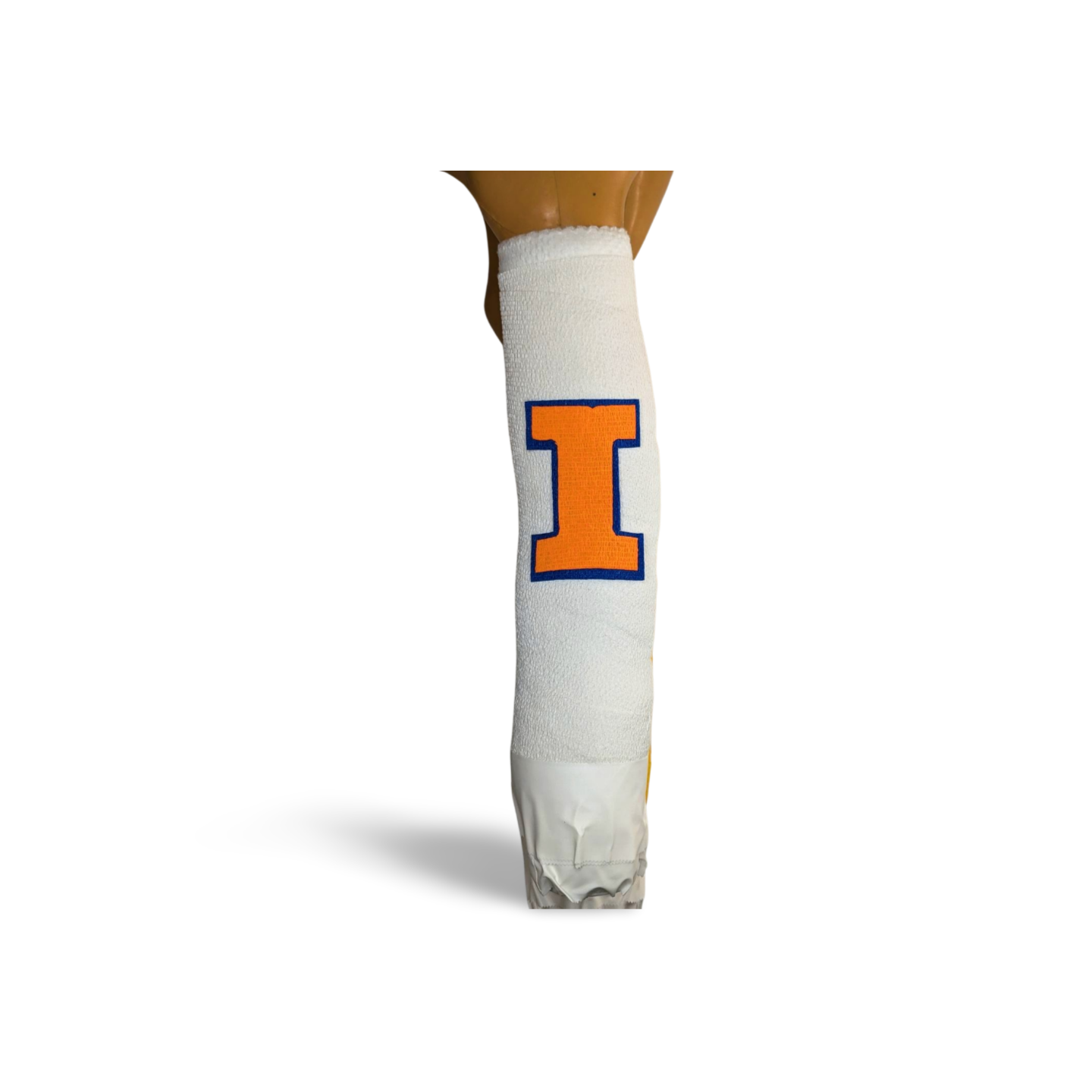 University of Illinois Logo