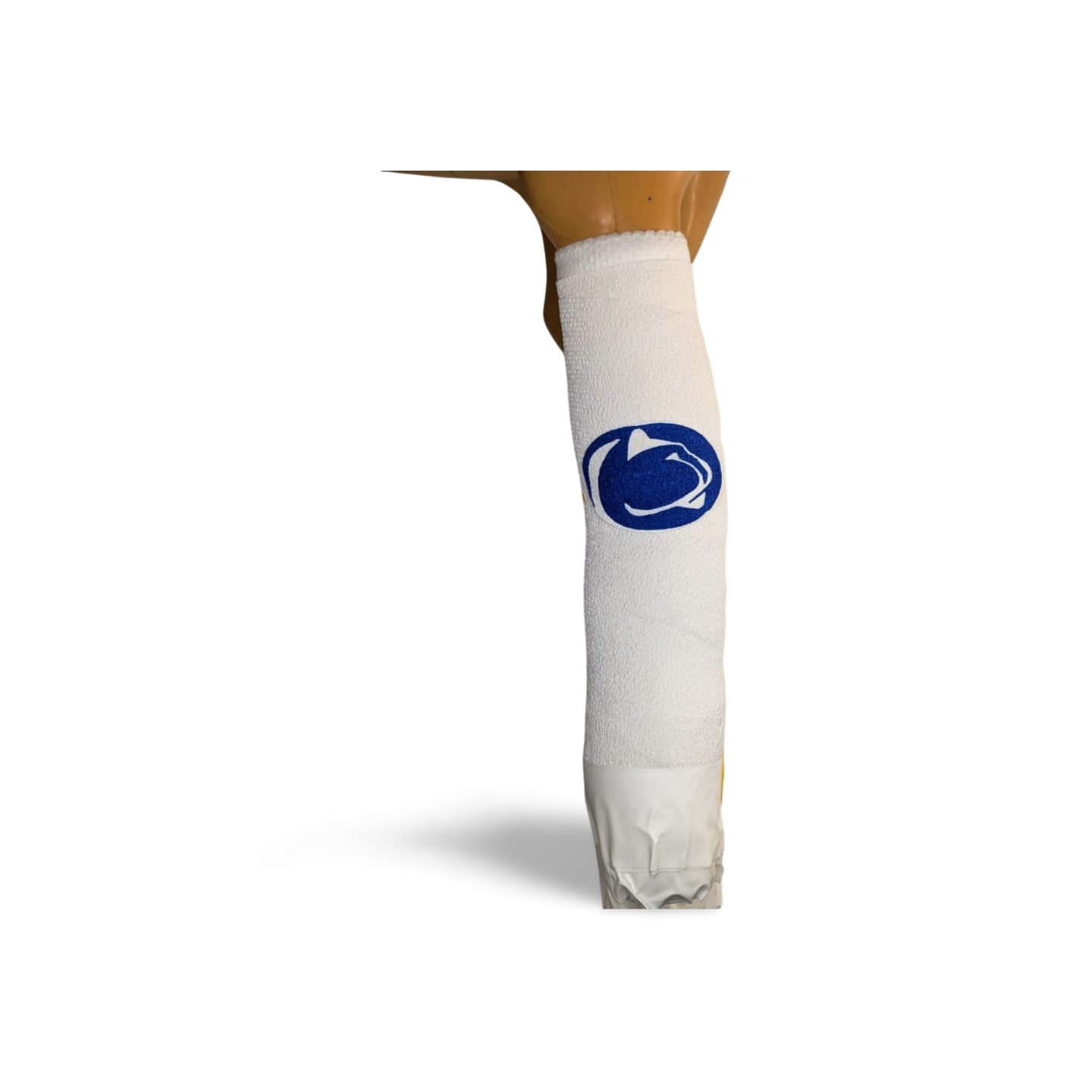 Penn State University Logo