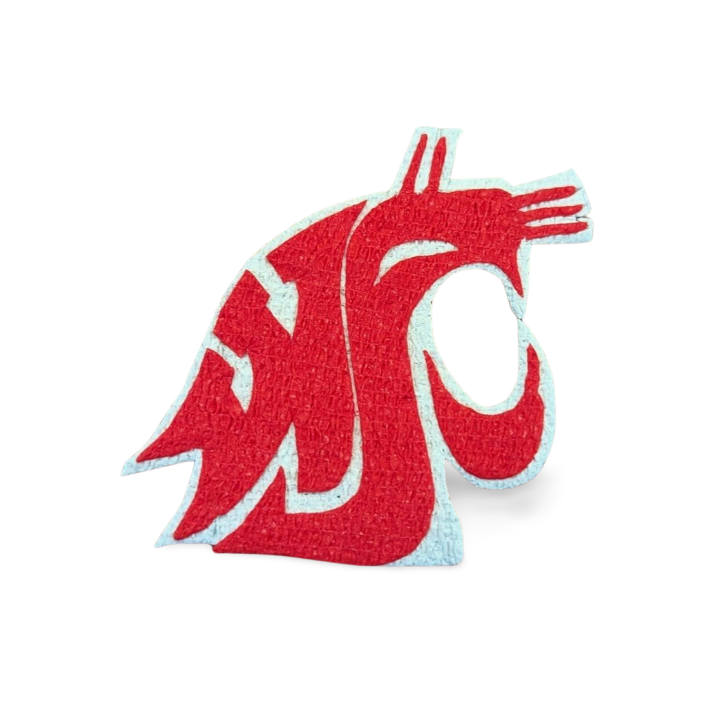 Washington State University